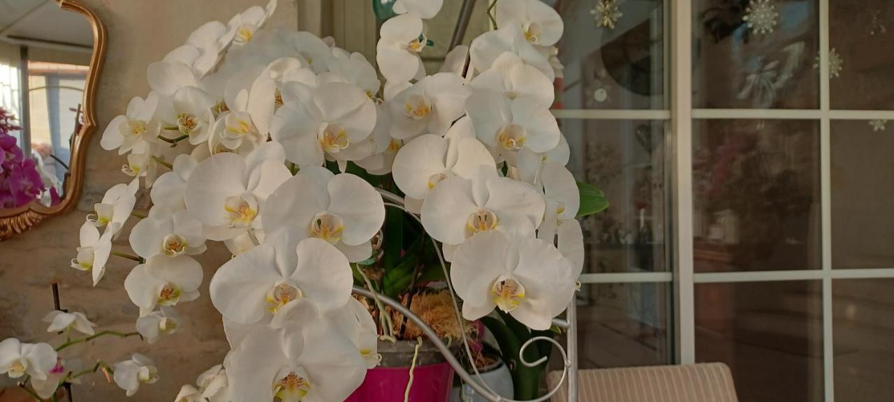 Les Orchidees Chambre Hotes Futuroscope Chasseneuil Poitiers Jaunay-Clan Bagian luar foto
