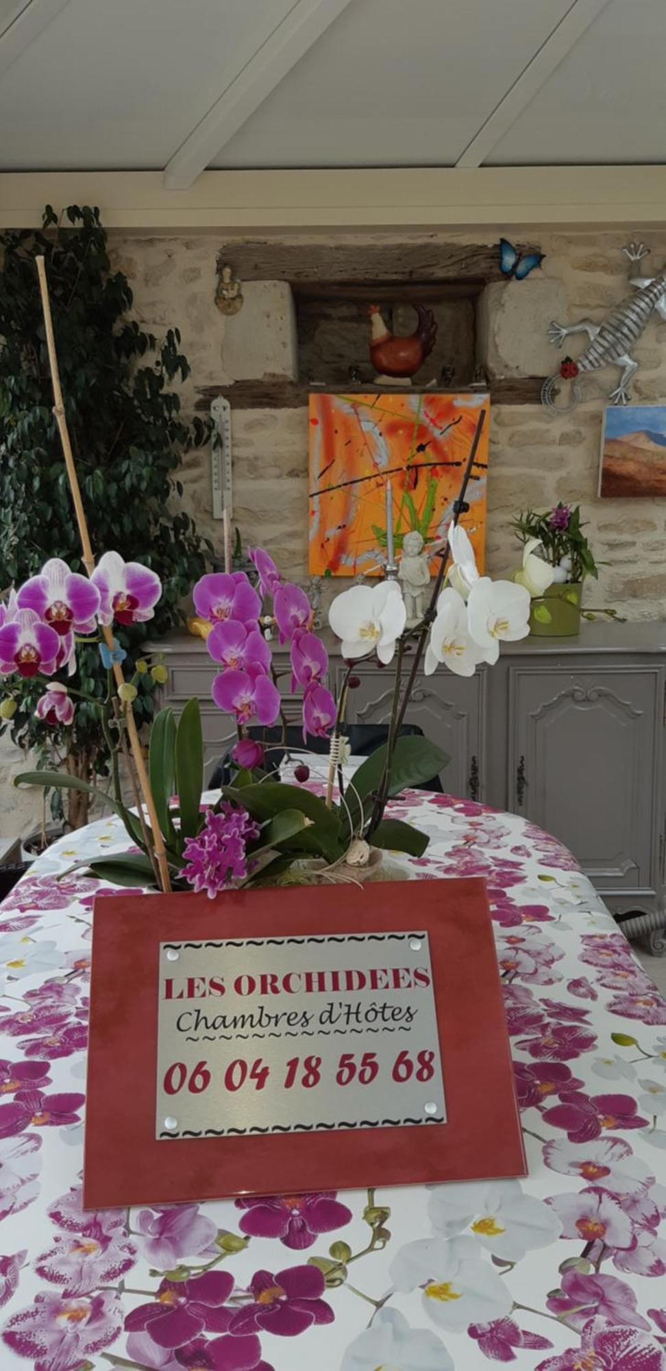 Les Orchidees Chambre Hotes Futuroscope Chasseneuil Poitiers Jaunay-Clan Bagian luar foto